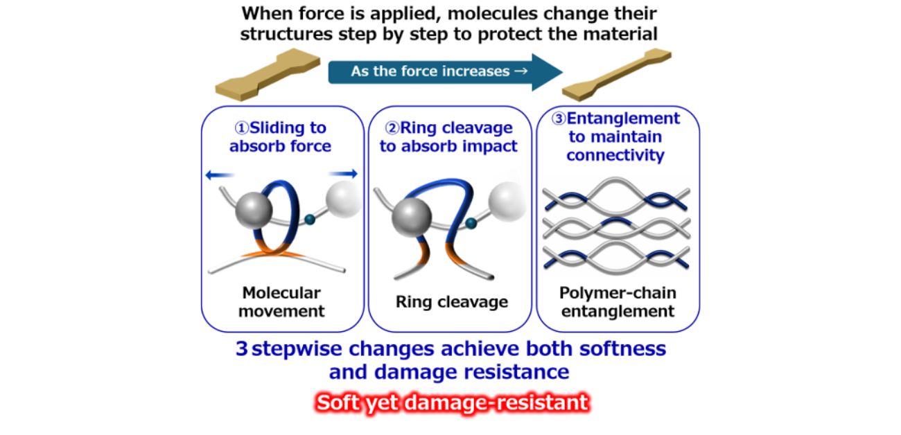 Polymers change structure to avert failure and keep elastomers tough