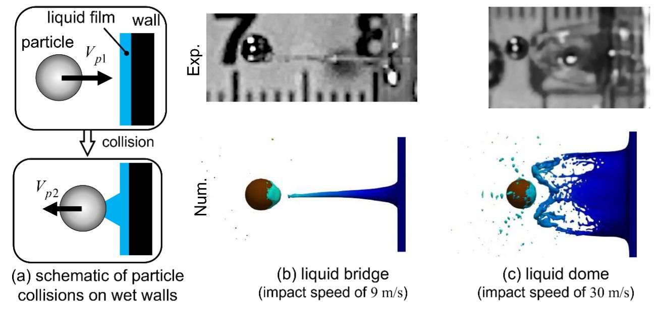 Why do high-speed particles bounce higher in wet collisions?