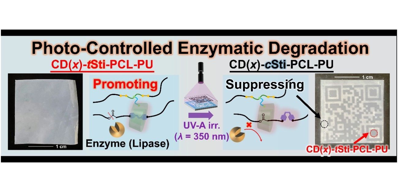 Breaking the durability–degradability trade-off in polymers