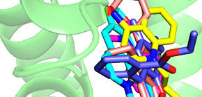 多剤排出タンパク質の発現にブレーキを掛ける機構を解明！