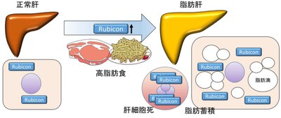 20160913_1_fig1.JPG