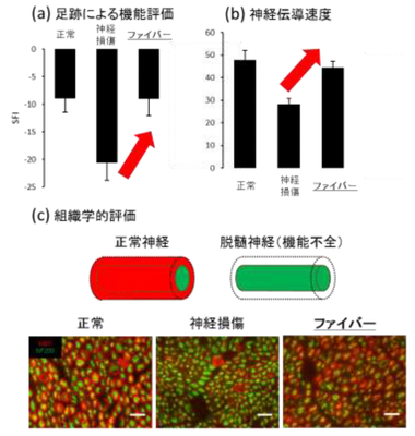 20170227_1_fig4.PNG