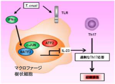 20170330_1_fig1.PNG