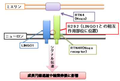 20170822_2_fig3.PNG