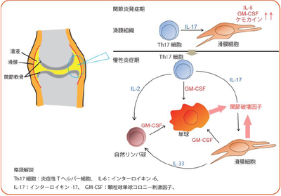 20180523_1_fig1.PNG