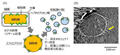 20180628_1_fig4.PNG