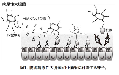 20180629_3_fig1.PNG