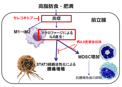 20180710_2_fig1.PNG