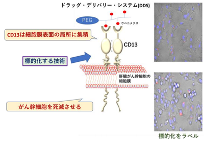 20180809_1_fig1.PNG