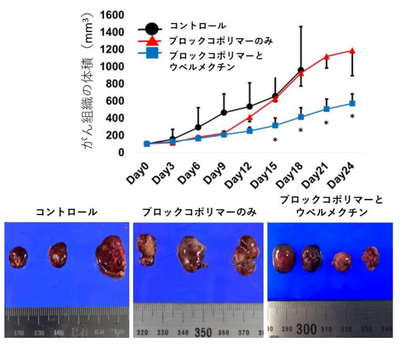 20180809_1_fig2.PNG