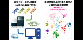 機械学習と次世代シークエンス技術の活用により 日本人集団の白血球の血液型を解明