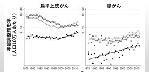 日本における子宮頸がんの動向が明らかに