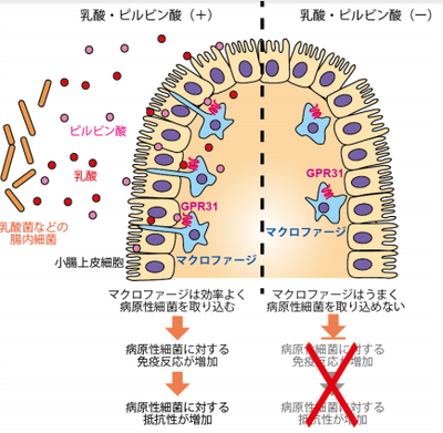 20190124_1_fig0.PNG