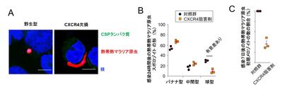 20190612_1_fig4.PNG
