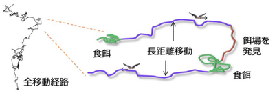 20190703_1_fig1.PNG