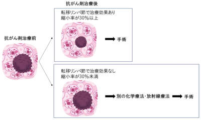 20190708_1_fig1.PNG