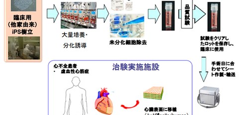 新規ナノファイバー Ips 細胞由来心筋組織片を用いた再生医療技術の開発 リソウ