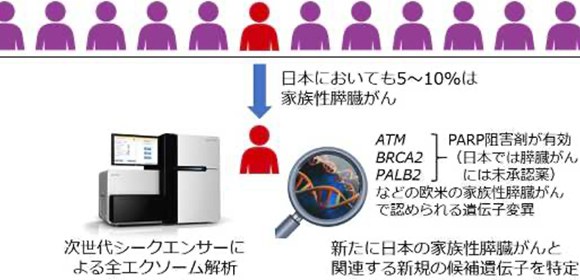 日本人の家族性膵臓がん関連遺伝子を解明
