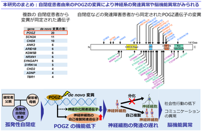 20200226_2_fig1.png