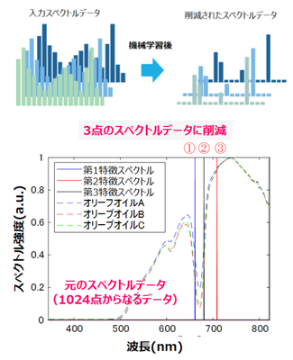 20200731_1_fig1.png