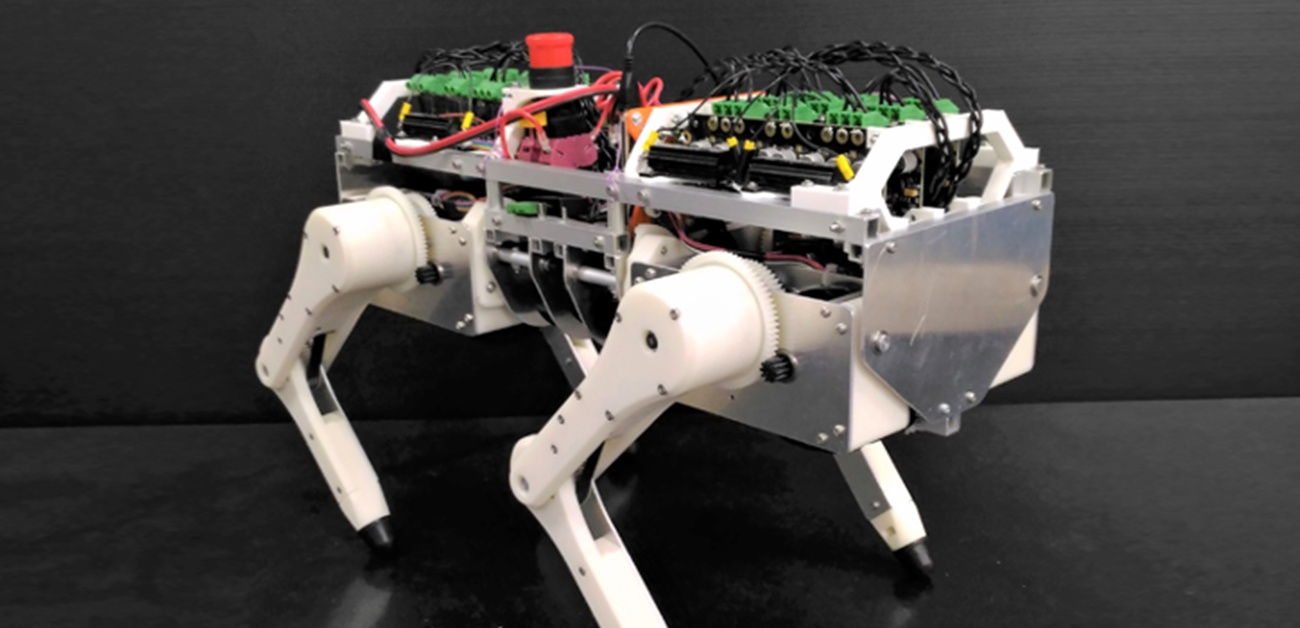 歩くネコをロボットで再現、反射回路を新発見
