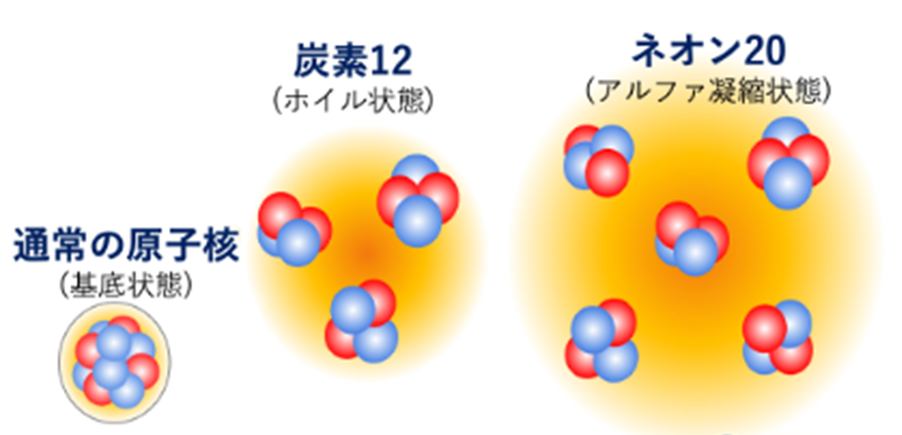 ネオン20原子核の新しい存在形態の発見