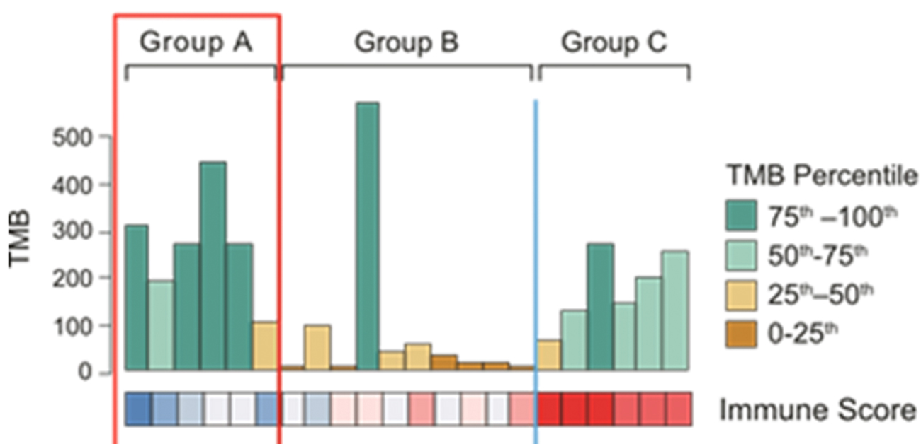 小細胞肺がんに対する免疫療法の候補者は誰ですか?