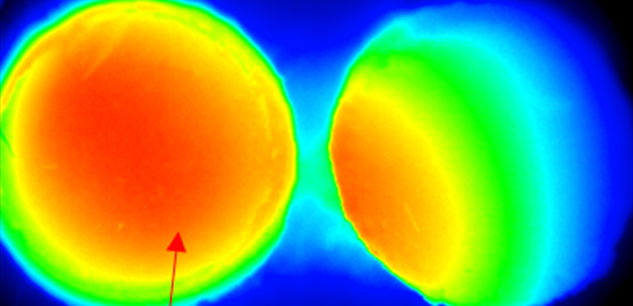 マイクロ波による固体触媒のμm～nmスケールの局所選択的な加熱機構を解明