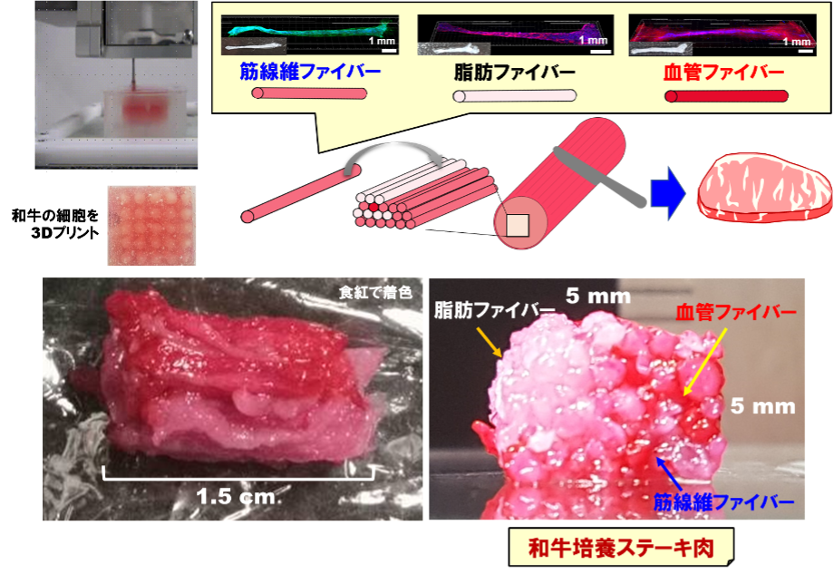 3Dプリント金太郎飴技術による和牛培養ステーキ肉の作製方法を示した図