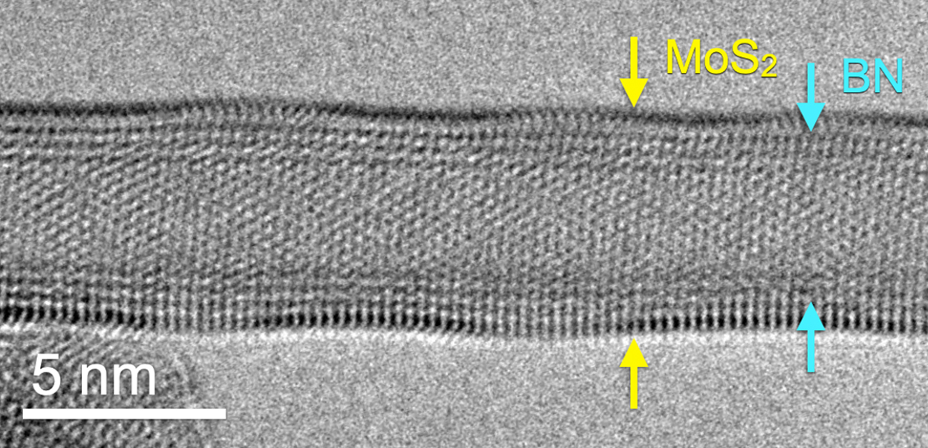 無機ナノチューブの簡便な単層合成法を開発 - ResOU