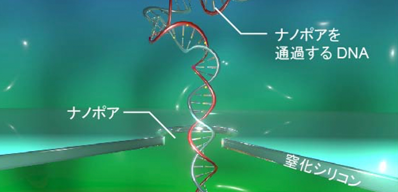 DNAの検出感度を数十倍上げる ナノポアセンサー