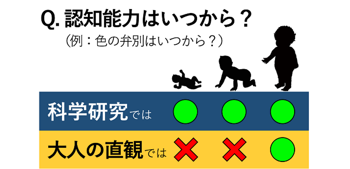 「生得より経験？」認知能力の獲得に関する我々の誤認識