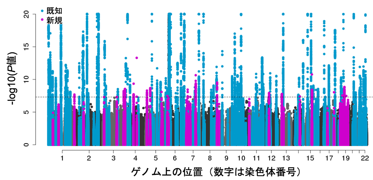  RAは遺伝性ですか?