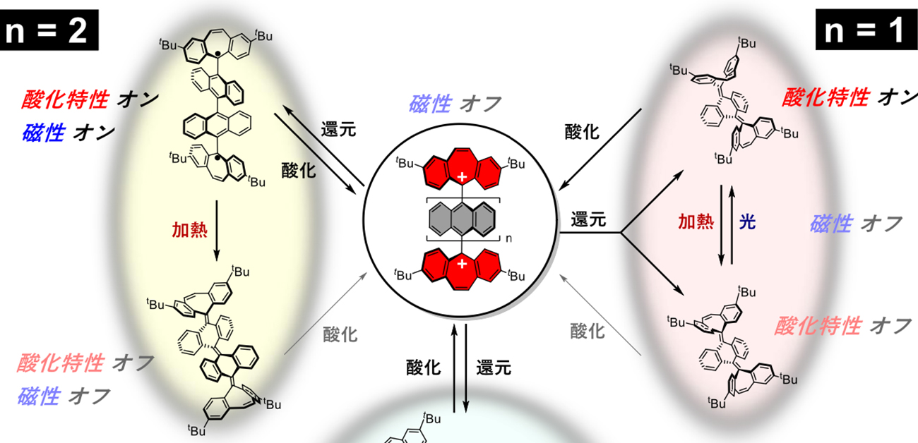 世界最長のアントラセンオリゴマーの詳細な調査に成功