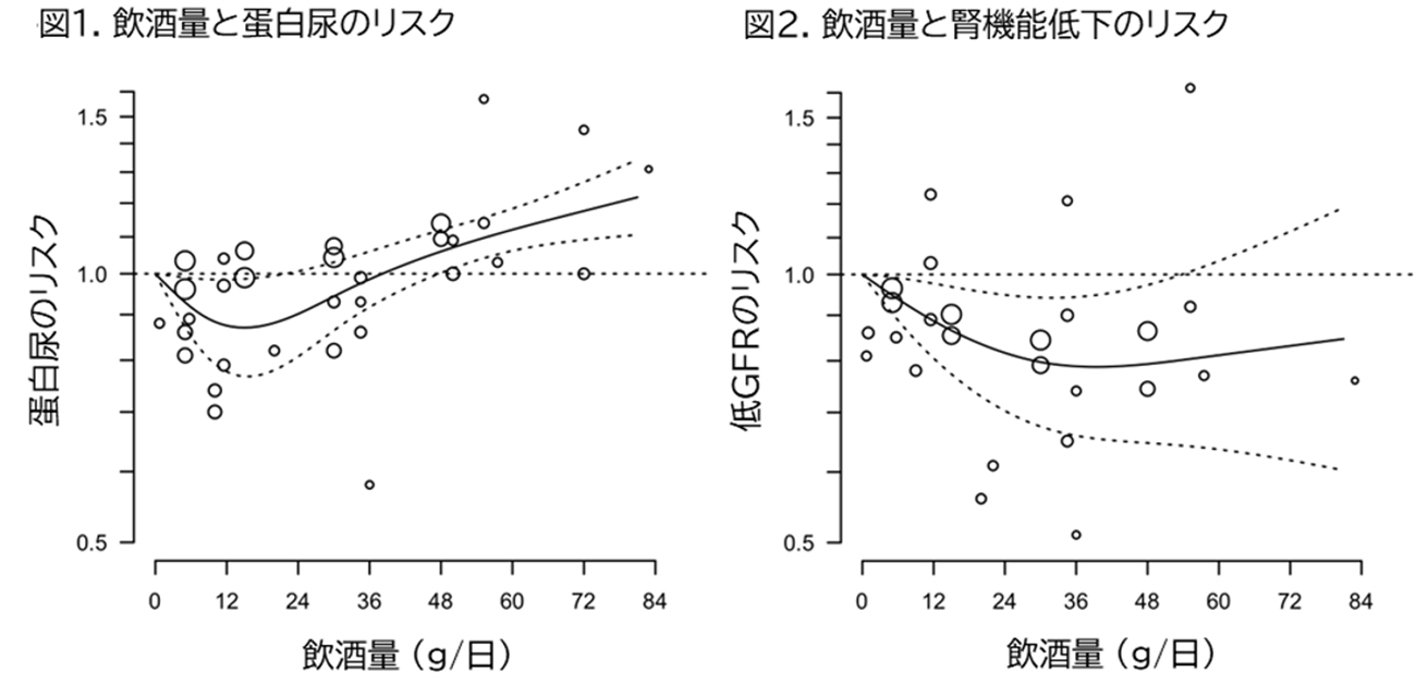 「お酒は、ほどほどに」を証明。 大量飲酒（日本酒3合以上/日）は蛋白尿リスクを高め 適度な飲酒（日本酒1合/日）は腎臓病リスクが低い
