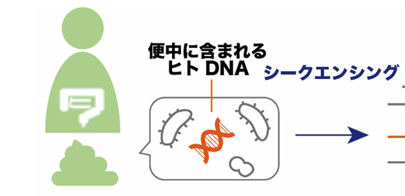 腸内微生物叢シークエンシングデータ中に存在する ヒトゲノム由来配列からの個人情報の再構築