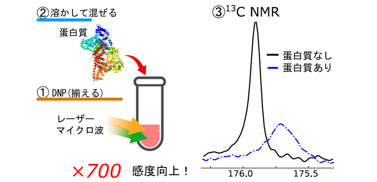 室温で信号を700倍増大して創薬NMR手法を実現