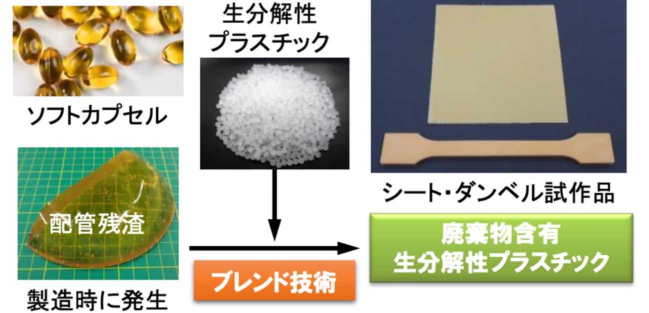 ソフトカプセル廃材から生分解性プラを開発 - ResOU