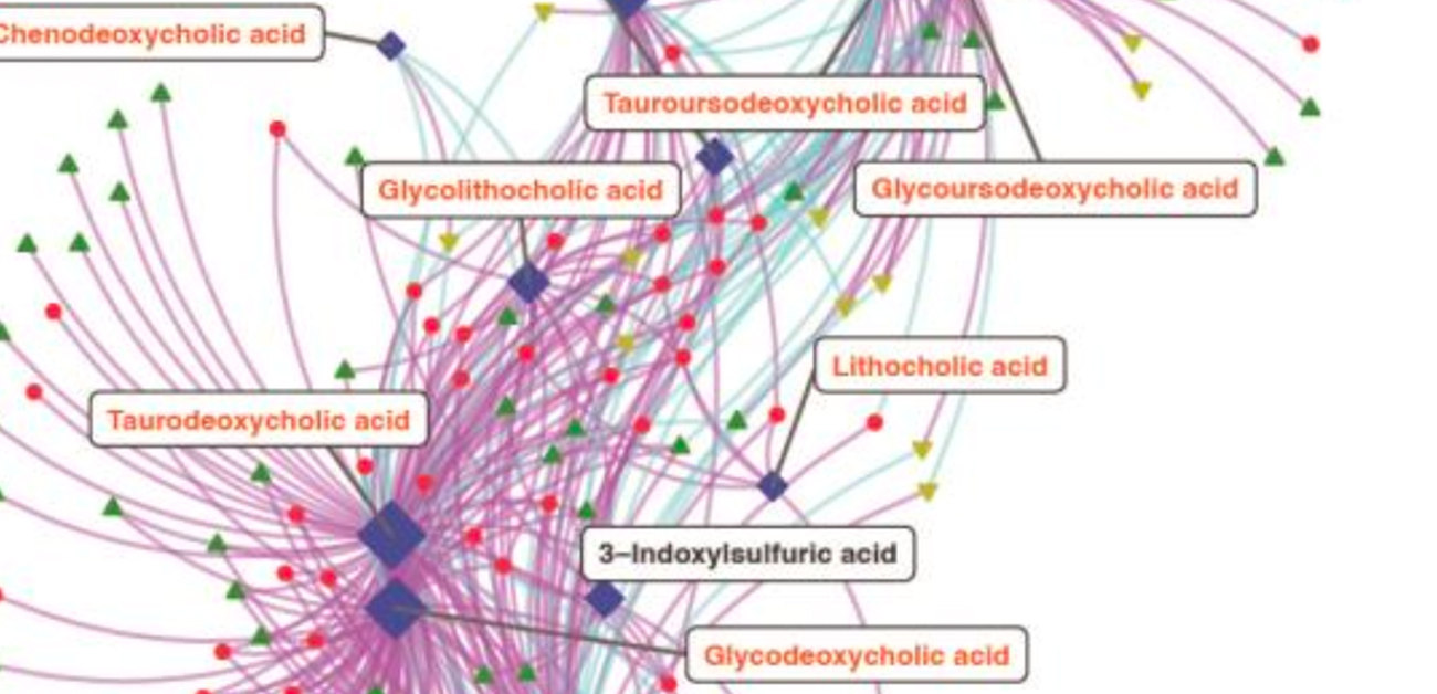 日本人の腸内微生物叢・ヒトゲノム・血中代謝物の関連が明らかに - ResOU