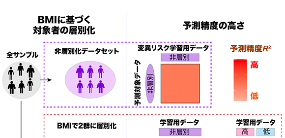 BMI×ゲノムで2型糖尿病の遺伝的リスク予測精度を向上