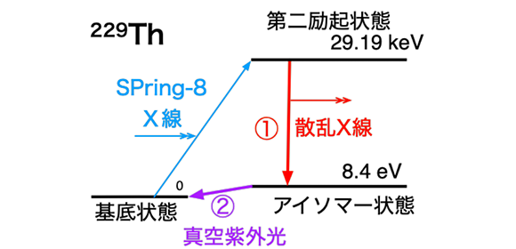 結晶中のトリウム229原子核アイソマーをＸ線で制御することに成功！