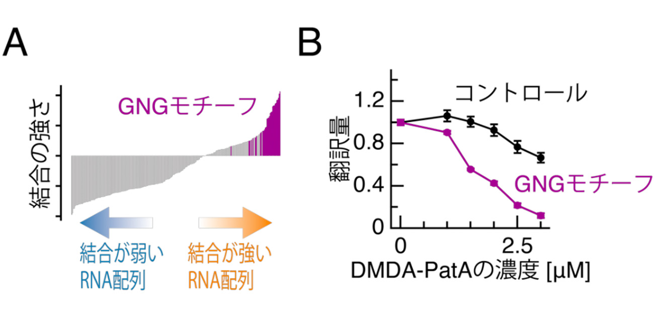 狙ったRNAは逃さない！