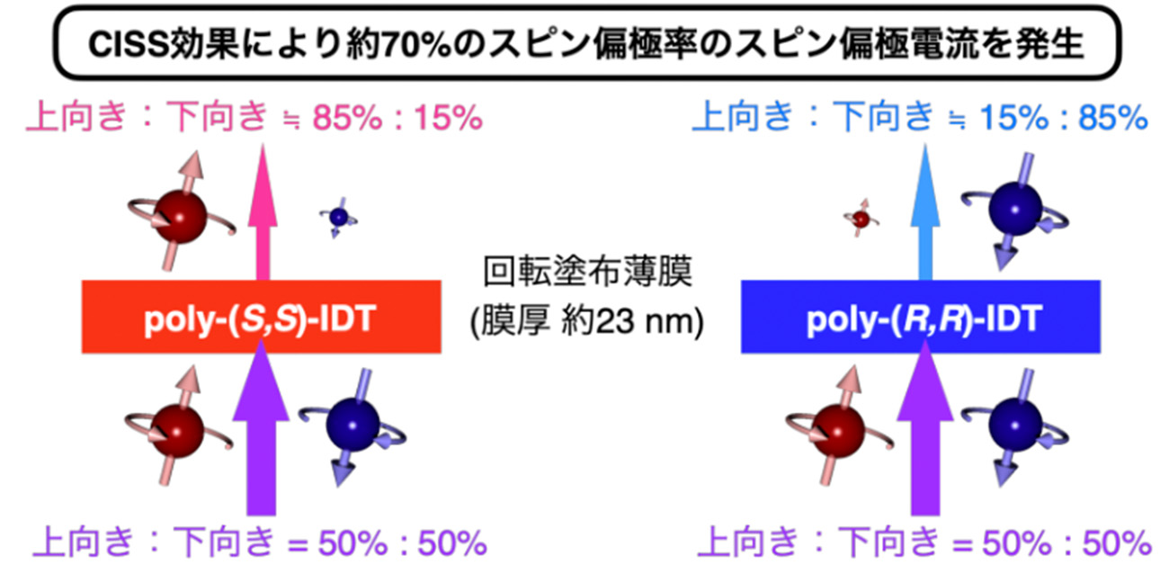 塗るだけで高効率スピン偏極電流を発生させる 新しいキラル半導体高分子を開発