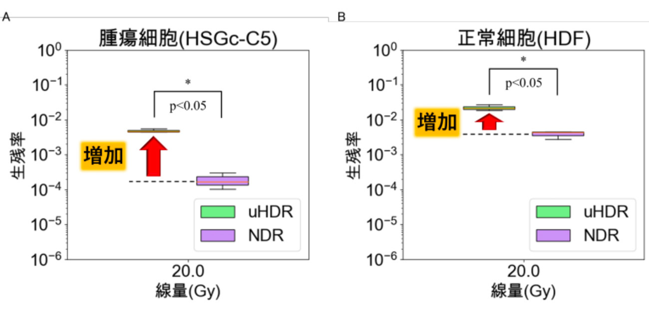 世界初！超短時間・高線量の陽子線照射による 常酸素下での細胞生残率の増加を実証