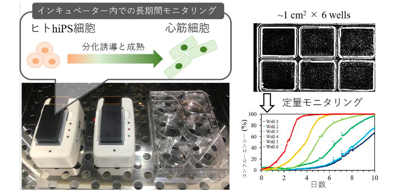 幹細胞モニタリング装置の小型化に成功！