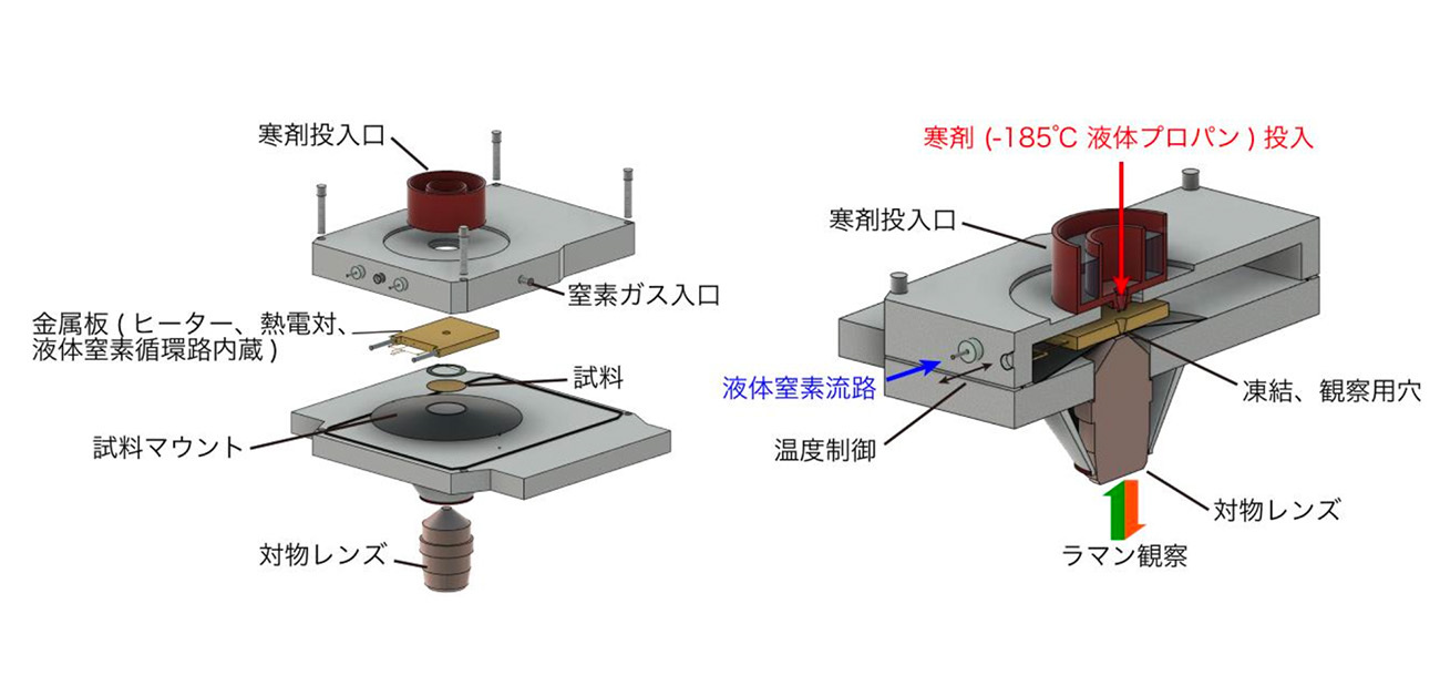 生体試料を凍らせて分子を高感度観察できるクライオ-ラマン顕微鏡を開発