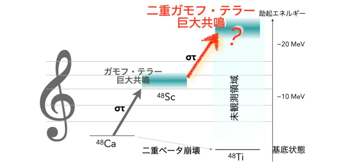 二重ベータ崩壊に類似した巨大共鳴状態の候補を観測