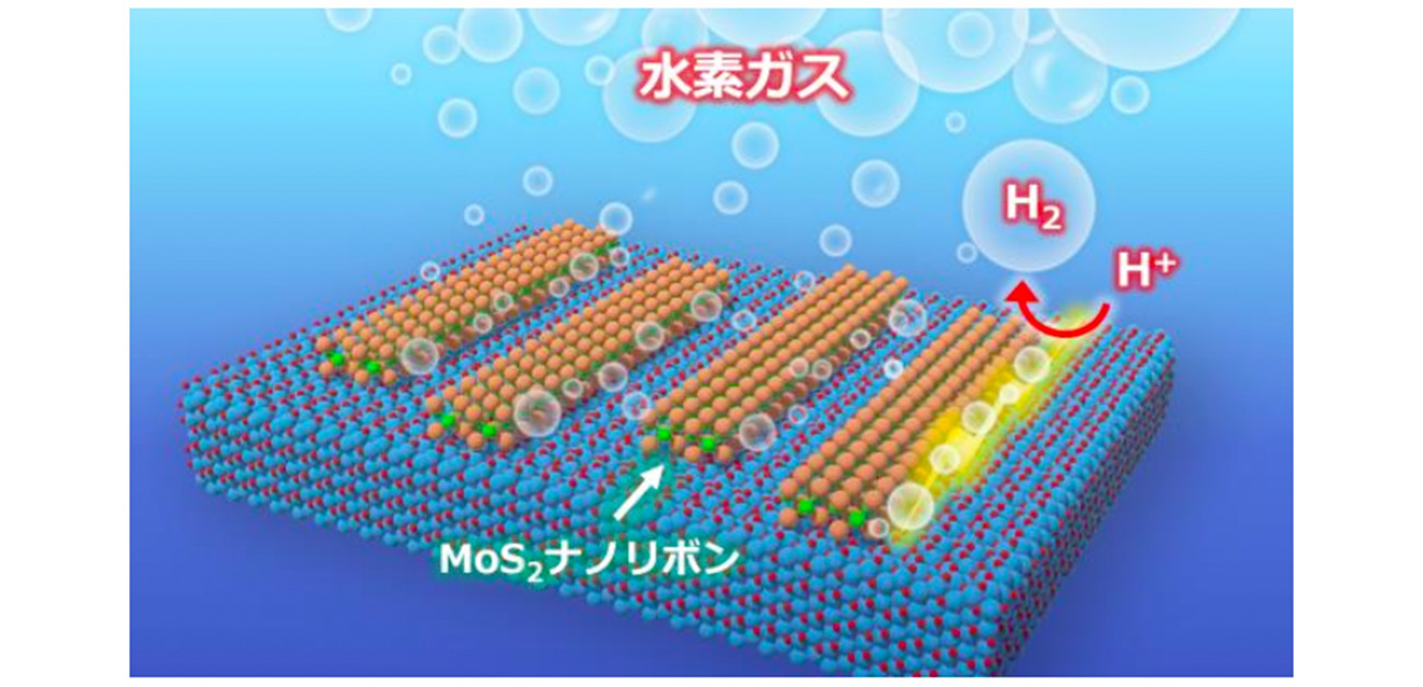 水素発生と半導体応用を兼ね備えた二次元半導体ナノリボンを実現