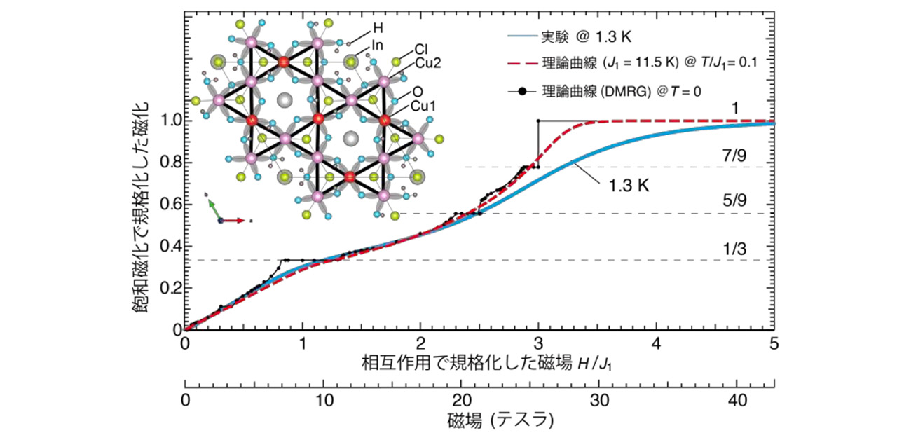 カゴメ文様に秘められた磁場中分数量子状態