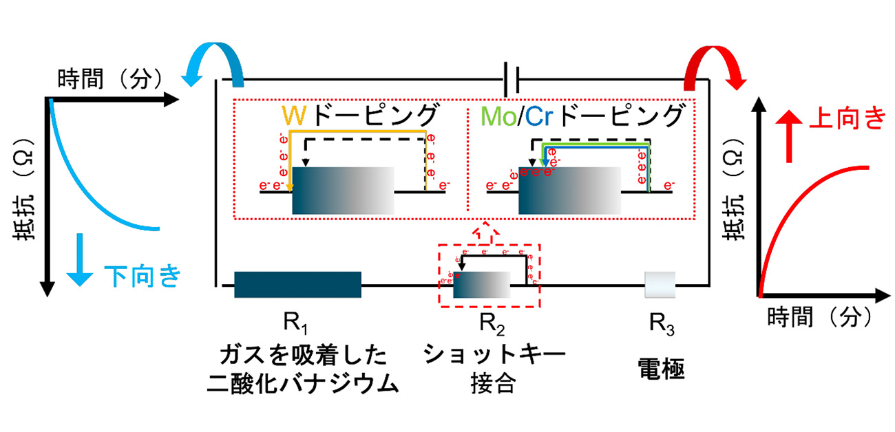 センシング材料のガス応答パターンを 逆転させることに成功